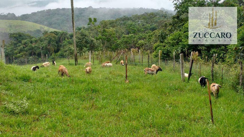 Chácara Rural À Venda, Jardim São Domingos, Arujá - Ch0067