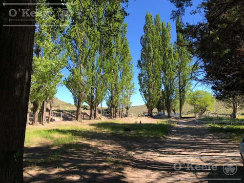 Imagen 11 de 28 de 8.805 Has En Neuquen Venta / Alquiler, Con 18 Km De Costa Del Embalse Piedra Del Águila.