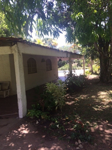 Melhor Área P/loteamento 91m Beira Pista, Granja 5.05 Hec, Guabiraba, Aceito Imóvel Ou Carro - Ch00009 - 67721727