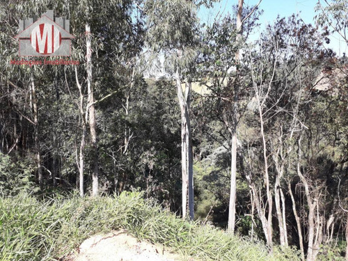Imagem 16 de 26 de Chácara Simples Com 02 Dormitórios À Venda, 16000 M² Por R$ 230.000 - Zona Rural - Socorro/sp - Ch0493