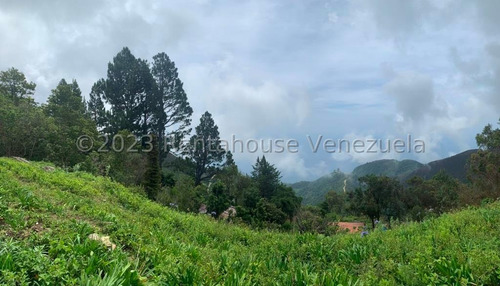 Distrito Capital; Caracas; Galipán