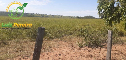 Imagem 7 de 7 de Fazenda À Venda Em Figueirão - Ms - De 1.003 Hectares (pecuária) - 1684