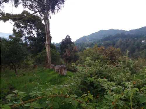 Lote En Vender En La Ceja