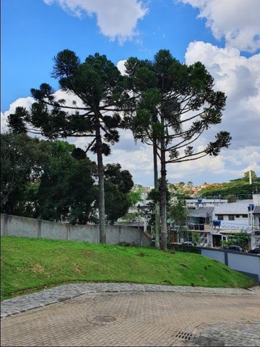 Terreno À Venda, 607 M² Por R$ 420.000,00 - Campo Comprido - Curitiba/pr - Te0198