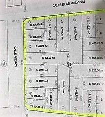 Lote | Tehuelche