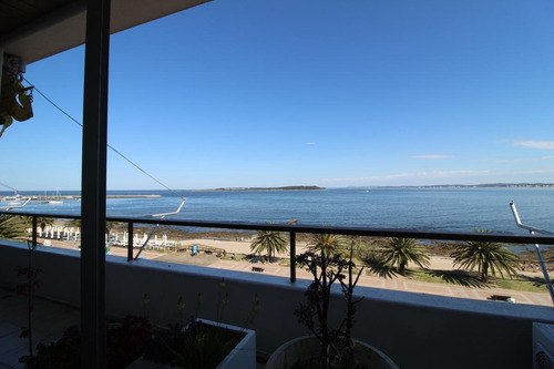 Imagen 13 de 24 de Apartamento - Península
