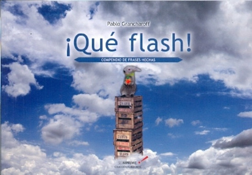 Qué Flash!, De Grancharoff, Pablo. Editorial Seimprime, Tapa Blanda En Español