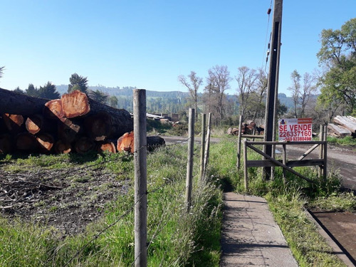 Sitio En Venta En Curacautín