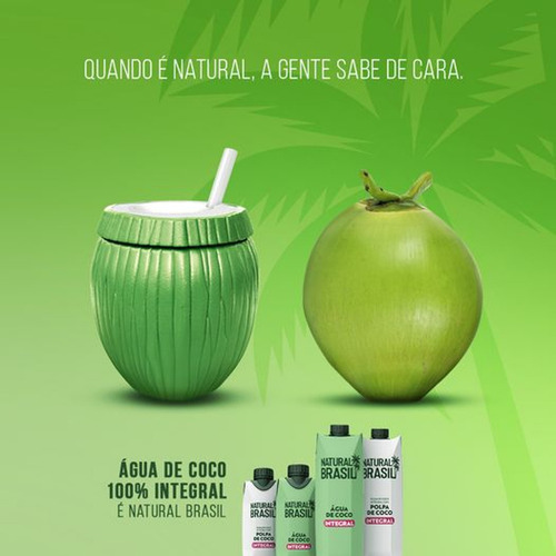 Água De Coco Integral Natural Brasil 330ml