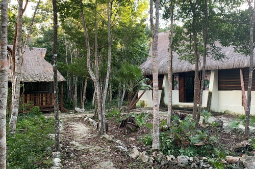 Imagen 5 de 11 de Propiedad En Puerto Morelos Ruta De Los Cenotes