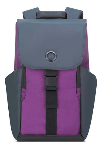 Mochila Portanot. 15,6  Con Proteccion Rfid Delsey Securflap