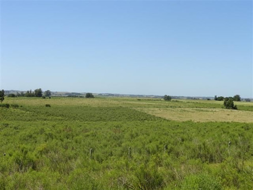 Campo En Venta En Las Cañas