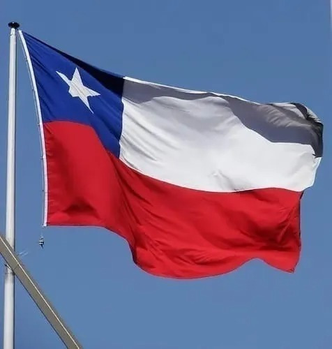 Bandera Chilena 90 X 135 Cm Excelente Calidad 