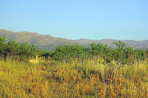 Imagen 9 de 14 de Venta De Lotes En Cortaderas Aguada De Pajaros