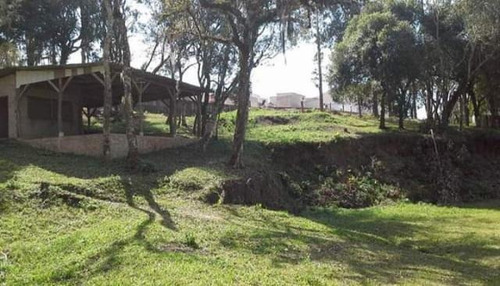 Imagem 11 de 15 de Chácara Para Venda Em Quitandinha, Zona Rural - Qui3300_1-2030544