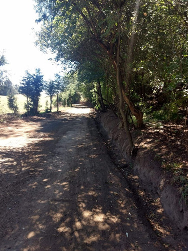 Terreno Rústico En Residencial Los Cedros