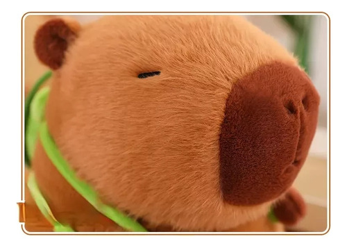 Peluches De Capivara E Mochilas Pequenas De Tartaruga 100144