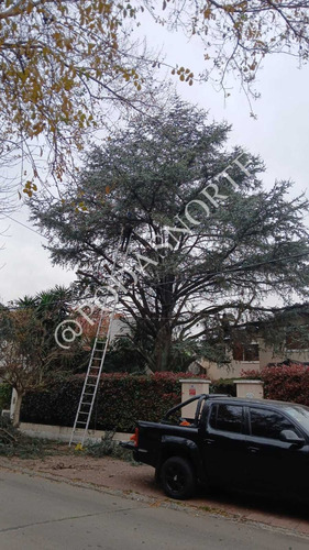 Podas Norte - Podas En Altura - Jardineria 1121614055
