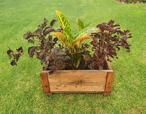 Imagen 7 de 9 de Maceta De Madera Tipo Jardinera De Barrote Chica Color Roble