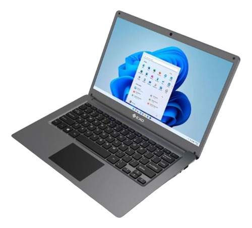 Notebook Exo 14.1  Xr3 Intel Cel.n4020 4gb Ssd256gb W11h