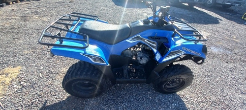 Imagen 4 de 5 de Kawasaki Brute Force 300