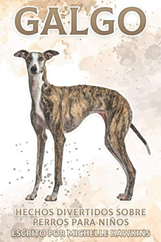 Galgo: Hechos Divertidos Sobre Perros Para Niños #21