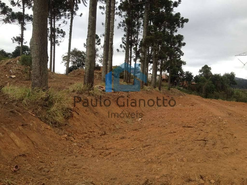 Imagem 5 de 6 de Área 2.740m² (zis) Próx. Ao Centro De Cotia (km 32 Rap. Tavares) - 716