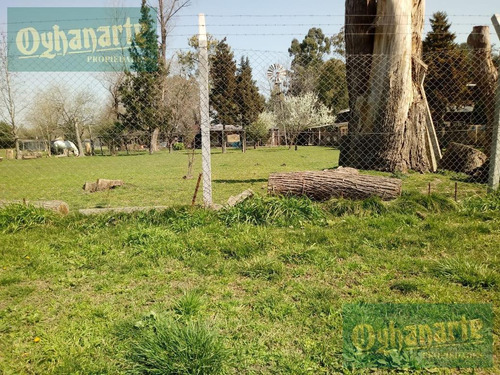 Venta De Terreno 1.5 Hectárea A 1 Cuadra De Ruta 24, Moreno.
