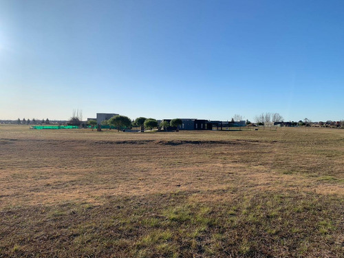 Imagen 9 de 13 de Hermoso Lote Central Con Fondo Libre Y Verde En El Area 12 - San Sebastián