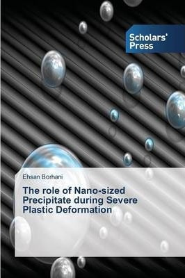 Libro The Role Of Nano-sized Precipitate During Severe Pl...