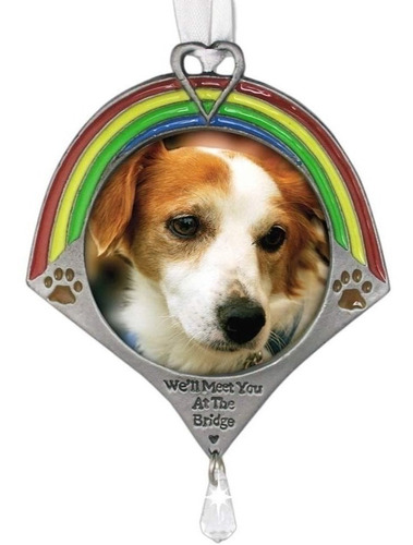 Recuerdo De Mascotas Arco Iris Puente Foto Ornamento