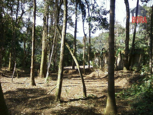 Imagem 3 de 5 de Terreno À Venda, 750 M² Por R$ 125.000 - Boa Vista - Mairiporã/sp - Te0221
