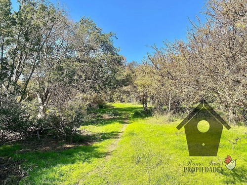 Lo Castro, Quebrada De Alvarado, Olmue. 5.000m2