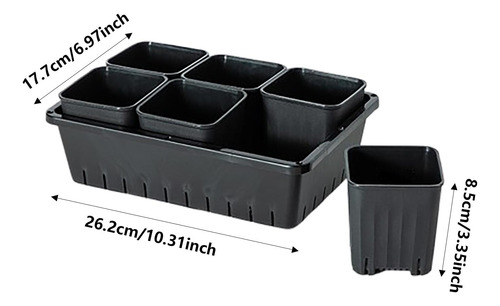 Maceta Para Trasplante De Plántulas, Caja De 6 Rejillas