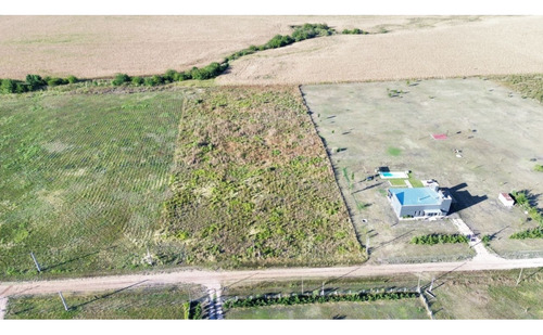 Vendo Lote De 1 Hectárea En San Justo, Entre Ríos.