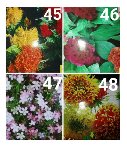 Imagen 9 de 10 de Sobres De Semillas Flores Varias