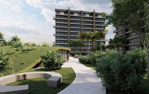 Remeros Brickell
