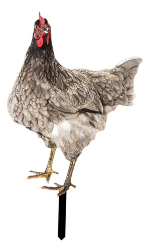 Yard Arts Hen Lawn Ornament Backyard Chicken Garden Style A