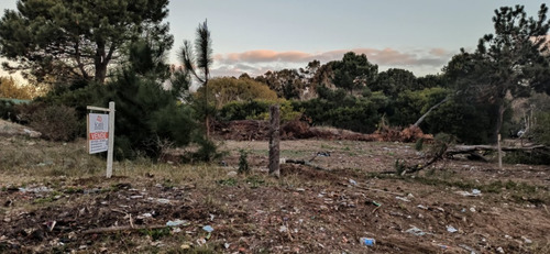Venta De Lotes En San Bernardo 600m2 Últimos Lotes