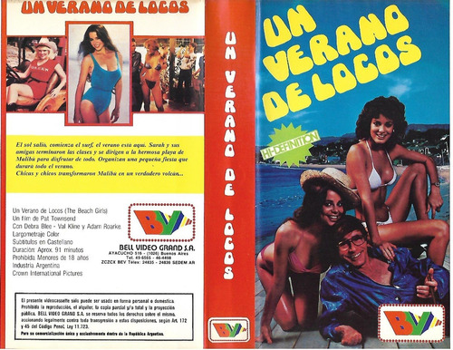 Un Verano De Locos Vhs The Beach Girls Debra Blee Val Kline