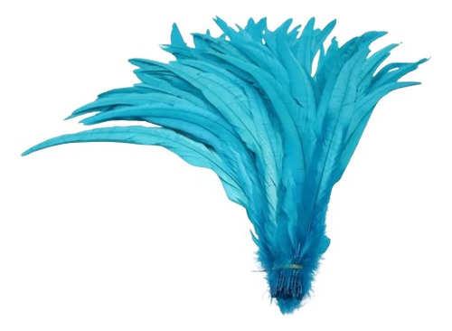 25 Plumas Cola Gallo Sueltas 25-30cm Colores Azul Claro 