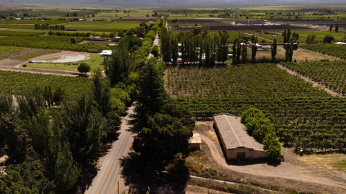 Finca En Venta En Tunuyán
