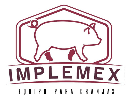 100 Bebederos Para Lechones Tipo Chupón