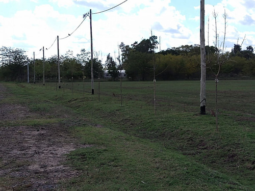 Imagen 2 de 4 de Lote En Venta En Lobos Loteo Las Raìces