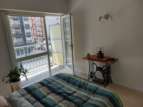 Imagen 13 de 19 de Alquilo Departamento Ambiente Y Medio Temporada Mar Del Plata Guemes Aldrey Febrero Disponible