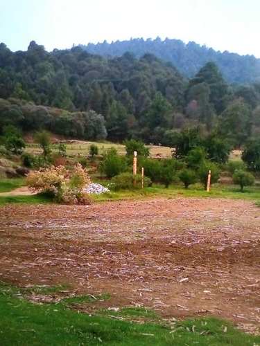 Terreno En Venta San Felipe Hidalgo Municipio De Tlaxcala