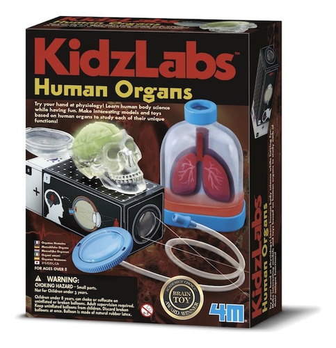 Juego Didactico Educativo Kidzlabs  Organos Humanos