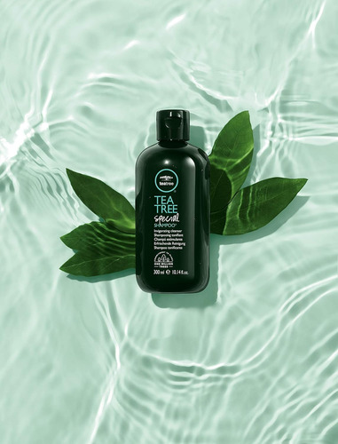 Tea Tree ChampĂș Especial, Limpia Profundamente