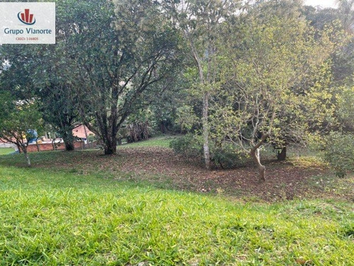 Imagem 9 de 9 de Chácara A Venda . - P0439-1