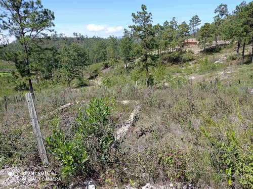 Imagen 5 de 10 de Lote Para Casa De Campo